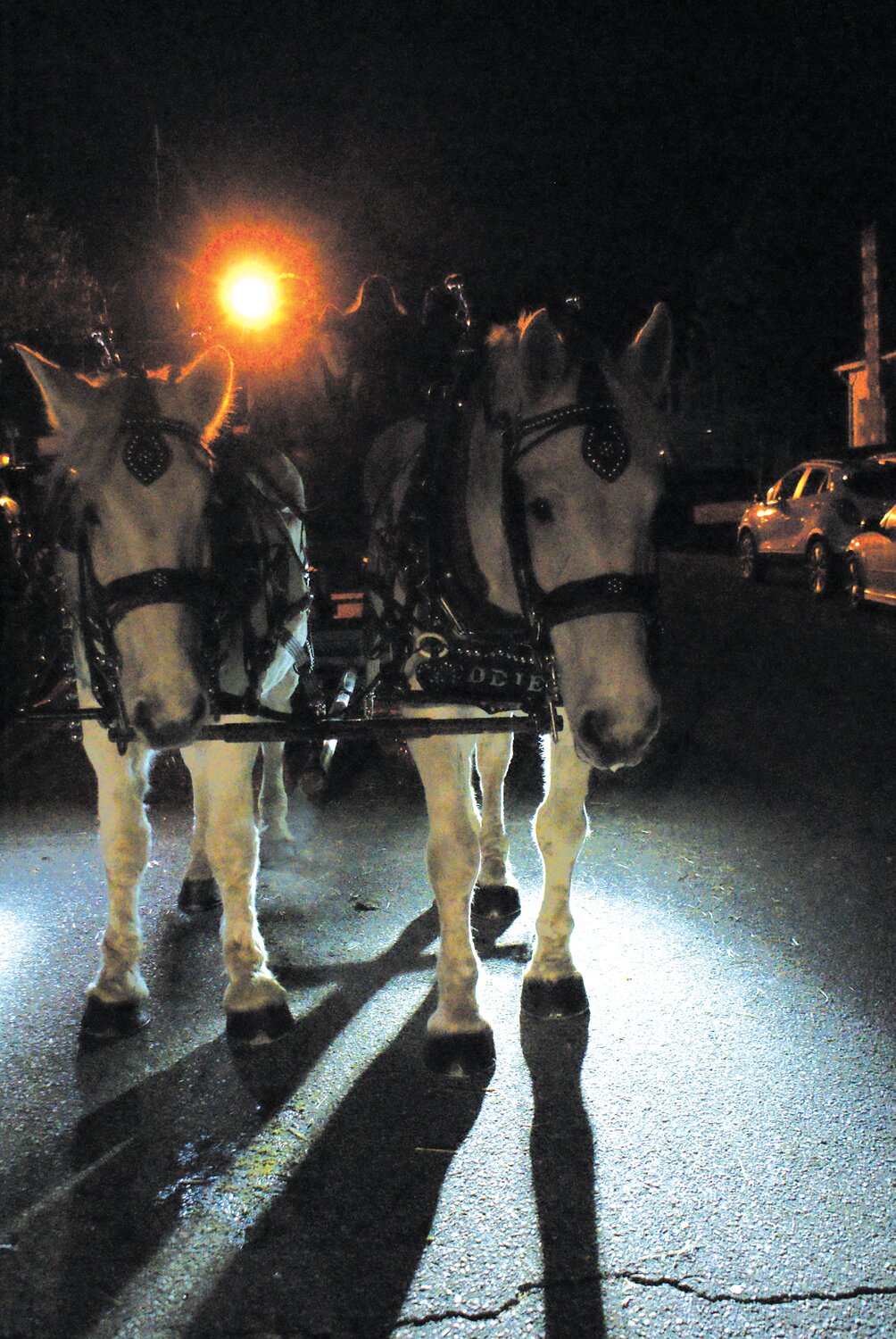 EQUINE TOUR GUIDES: Carriage horses Lenny and Eddie from New Deal Horse & Carriage in North Kingstown usher visitors around the lights. (Photo by Steve Popiel)